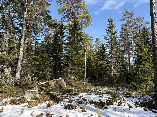 Eikeheihøgda i Aurskog-Høland