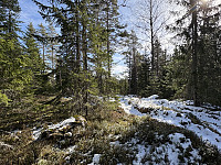 ØyvindBergkvam_20250527_6835bfb80b8f5.jpg