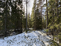 ØyvindBergkvam_20250527_6835bfc43e7e7.jpg