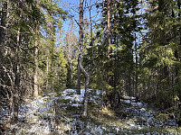 ØyvindBergkvam_20250527_6835bfcb80f42.jpg