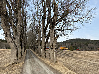 ØyvindBergkvam_20250601_683c29bff15f3.jpg