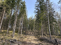 ØyvindBergkvam_20250601_683c29c46d849.jpg