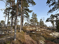 ØyvindBergkvam_20250601_683c29c95d10c.jpg