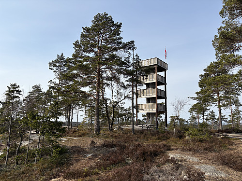 Mjærskaukollen i Enebakk