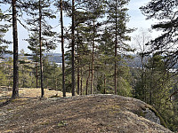 ØyvindBergkvam_20250601_683c29d5e27d7.jpg