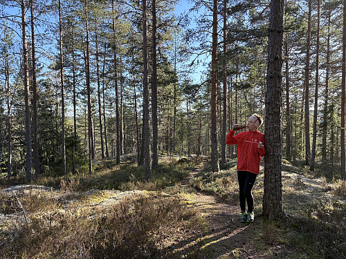 Drikkepause like før toppen