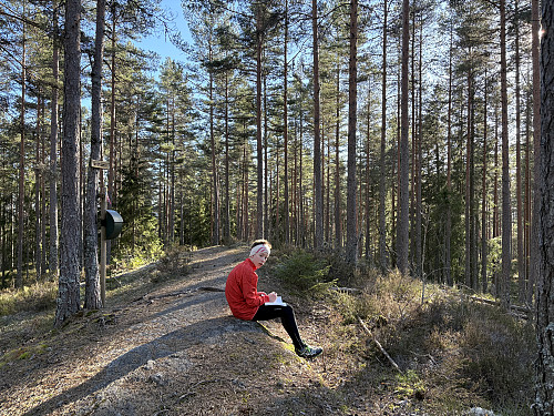 Brattåsen i Lillestrøm