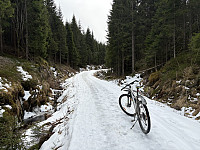 ØyvindBergkvam_20250601_683c30a9abb18.jpg