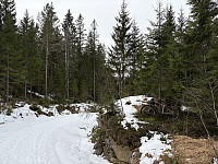 ØyvindBergkvam_20250601_683c30abc4003.jpg