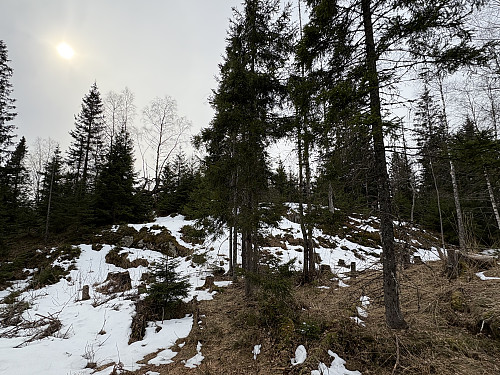 Bikkjetjernsåsen i Enebakk