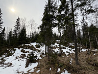 ØyvindBergkvam_20250601_683c30b1ee91c.jpg