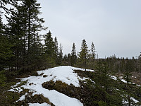 ØyvindBergkvam_20250601_683c30c31921c.jpg