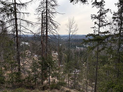 Utsikt sørover fra toppen av Kopledalsåsen