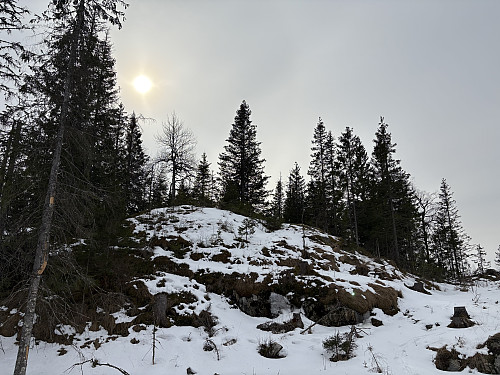 Kopledalsåsen i Enebakk