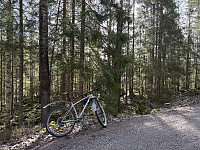 ØyvindBergkvam_20250601_683c7d7824219.jpg