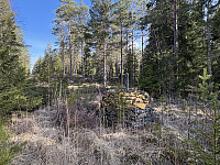 ØyvindBergkvam_20250601_683c7d86df001.jpg