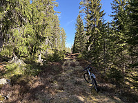 ØyvindBergkvam_20250601_683c7d94a1707.jpg