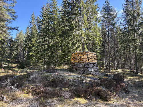 Riksrøys 50