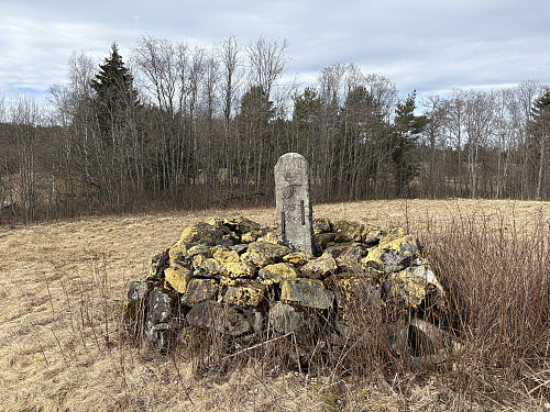 Riksrøys 46