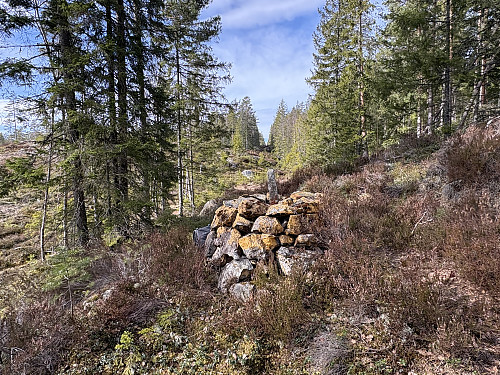 Riksrøys 44 C