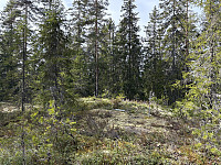 ØyvindBergkvam_20250601_683c7e0b34beb.jpg