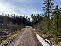 ØyvindBergkvam_20250601_683c85f4d77e2.jpg