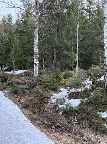 Her går den merkede stien av retning Granberget