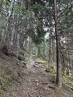 ØyvindBergkvam_20250601_683c86123f7df.jpg