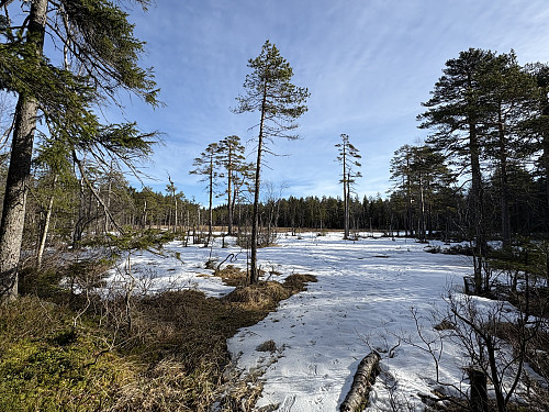 Ved Jomfruputten