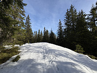 ØyvindBergkvam_20250601_683c861d00c9e.jpg
