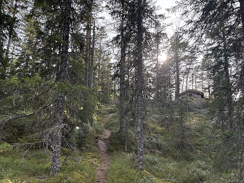 På vei opp avstikkeren til Råsokhøgda