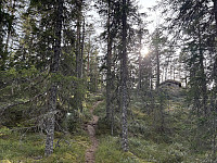 ØyvindBergkvam_20250601_683c89877cea1.jpg