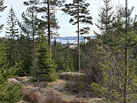ØyvindBergkvam_20250601_683c89a373acc.jpg