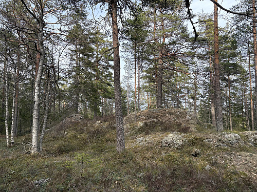 Kinnåsen i Lillestrøm