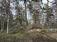 ØyvindBergkvam_20250601_683c89b03e3f5.jpg