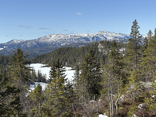 Lomtjønn med Lifjell (Øysteinnatten) i bakgrunnen