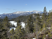 ØyvindBergkvam_20250604_683fefc934c0e.jpg