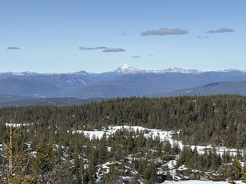 Gaustatoppen sett fra Tåråfjellet (zoom)