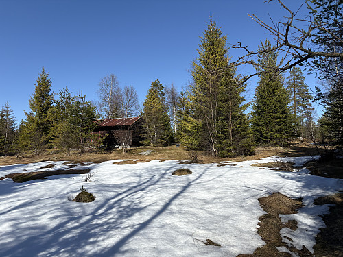 Skjeggestul