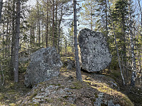 ØyvindBergkvam_20250604_683ff8da234c1.jpg