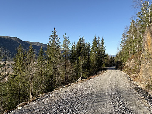 Relativt slak stigning gjorde sykkelturen ganske grei