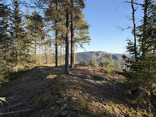 Jønneberghøgda i Midt-Telemark