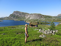 Perastølen.