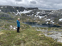 Utsikt mot Austre Skute og vann 898.