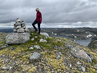 Toppvarden.