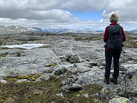 Utsikt mot Kvanndalen og mange av de høyeste fjellene i Rogaland.
