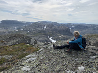 Utsikt mot Brudledsnutane foran, Skoranutane bak og Snønuten bakerst.