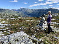 Utsikt mot Berdalsvatnet, Tindane og Reinaskardnuten.