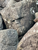 Steinmannen på Vigdel.