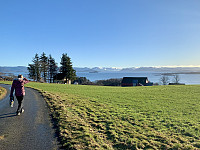 Utsikt sørøstover i Boknafjorden fra Søreveien.